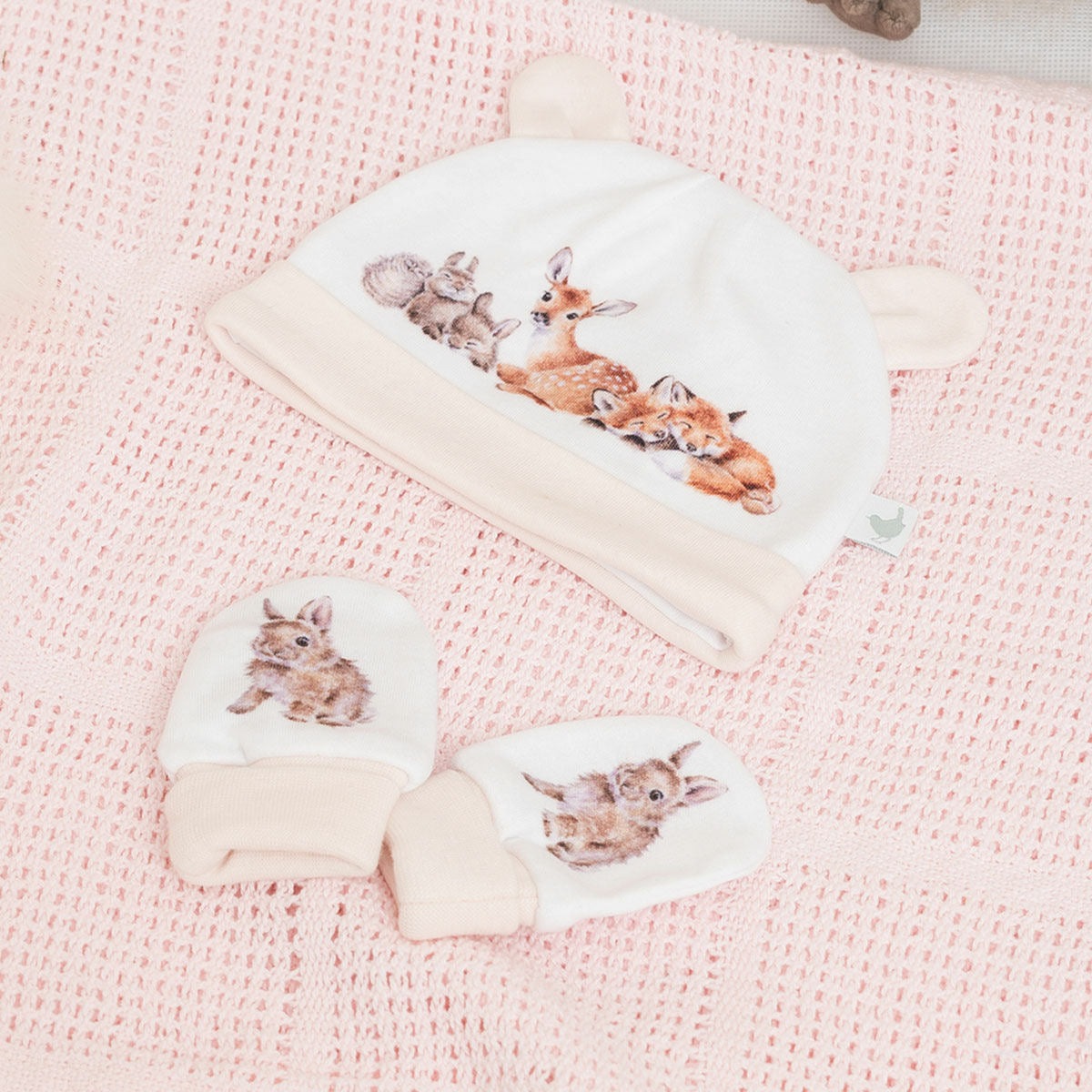 Little Wren Little Savannah Hat and Mittens set