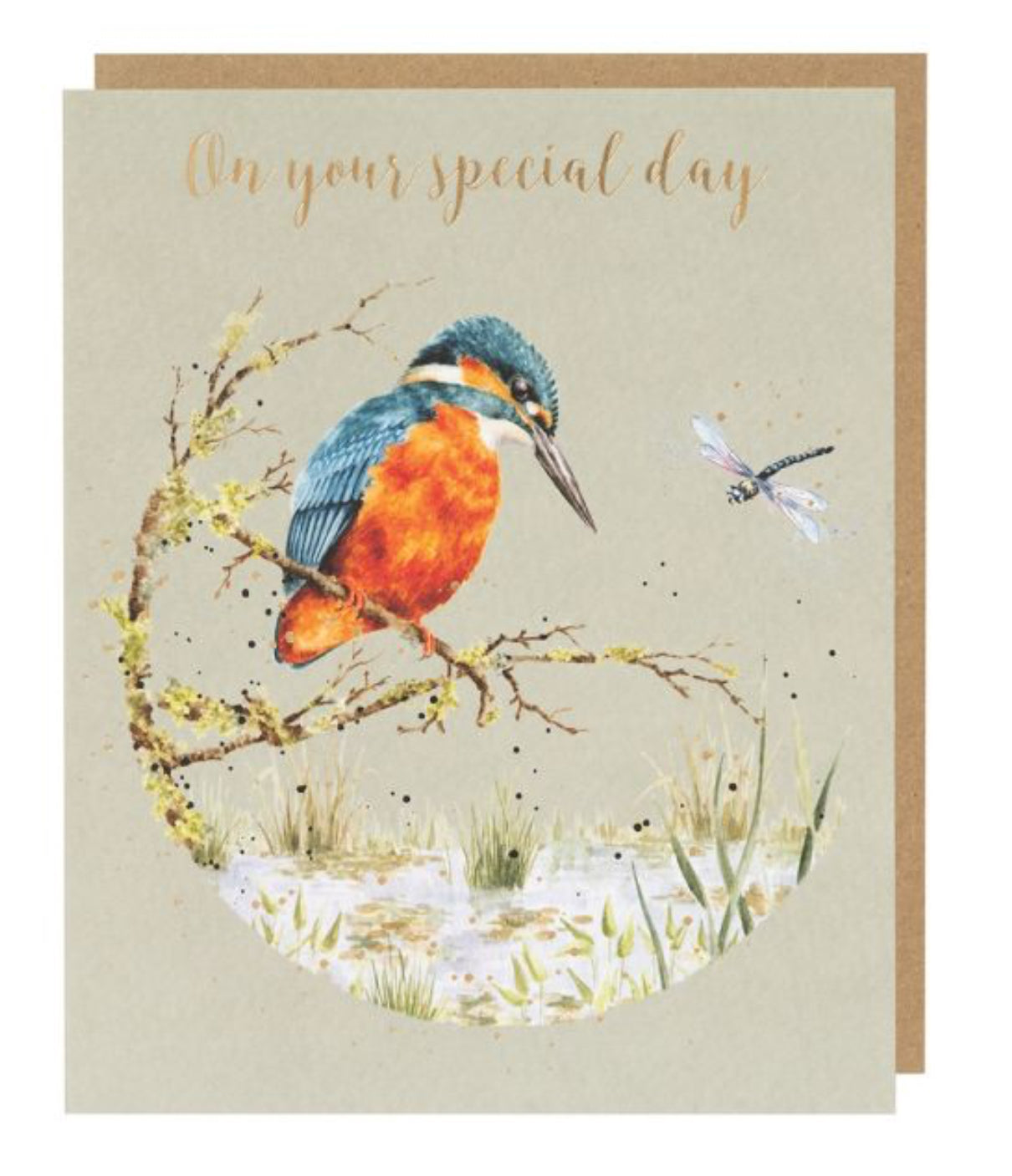 'POND DIPPING' KINGFISHER BIRTHDAY CARD