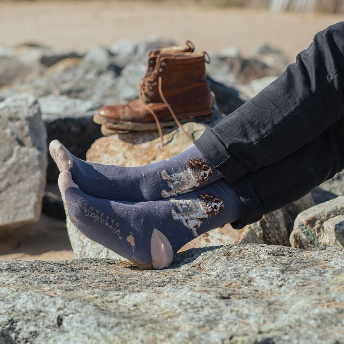 Wrendale Men’s ‘Willow’ Spaniel Socks