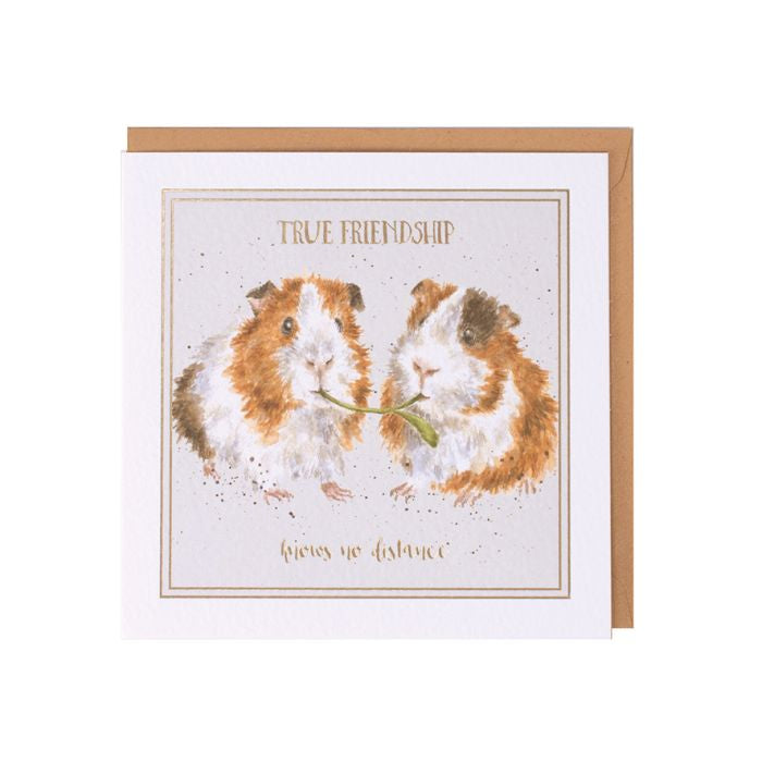 Wrendale True Friendship Card