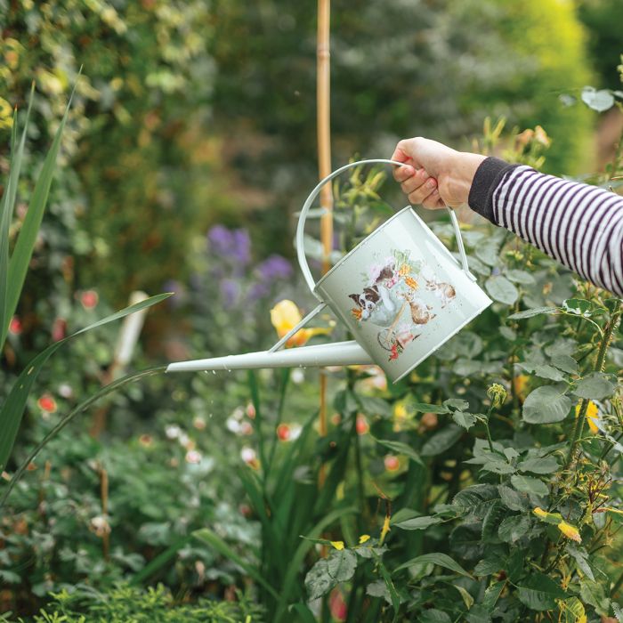 Wrendale ‘Sleeping On The Job’ Indoor Watering Can