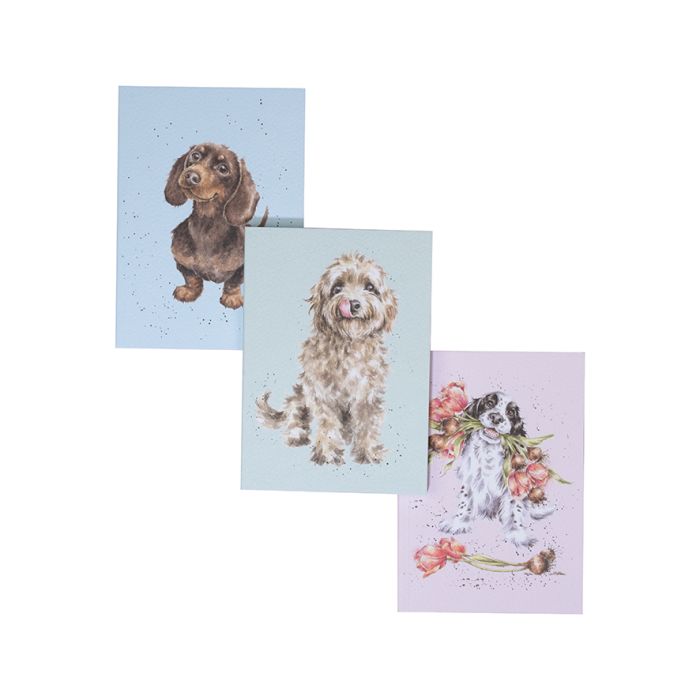 Wrendale ‘A Dog’s Life’ Set Of 3 Notebooks