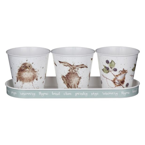 Wrendale The Country Set Herb Pots & Tray