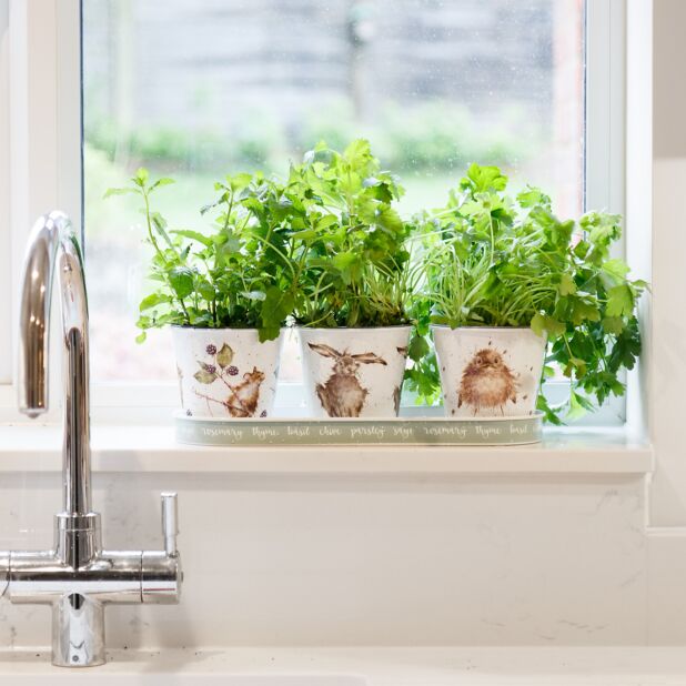 Wrendale The Country Set Herb Pots & Tray