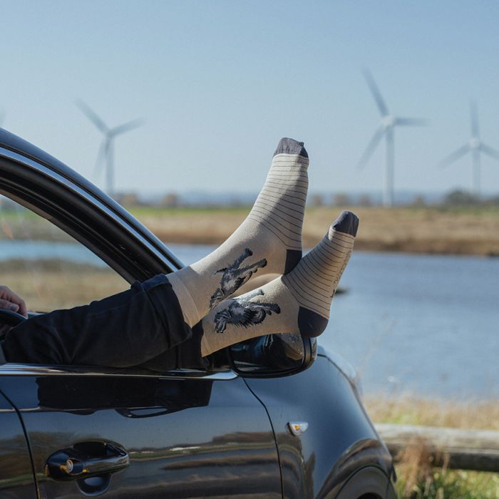 Wrendale Men’s Socks Black ‘Labrador Walkies’