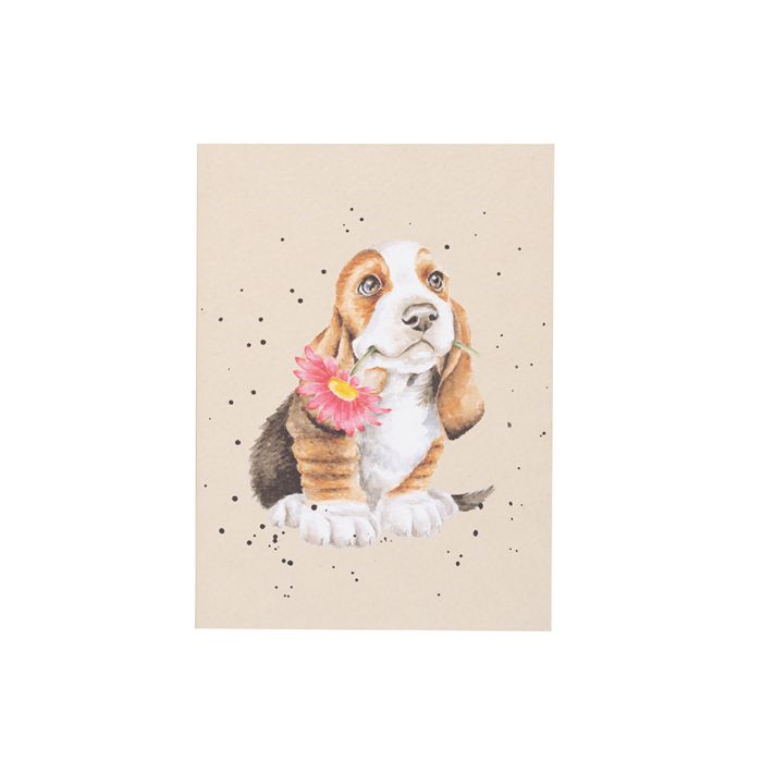 Wrendale ‘Just For You’ Basset Hound A6 Notebook