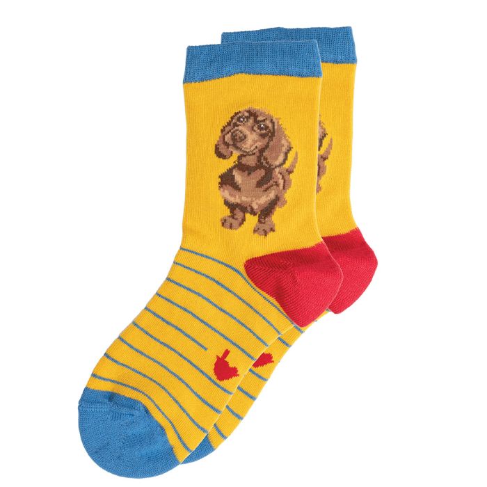 Wrendale ‘Little One’ Dachshund Children’s Socks Size UK 9-12