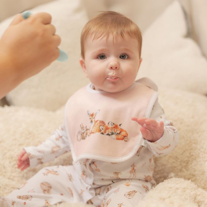 Wrendale 'Little Forest' Woodland Animal Bib Gift Setj