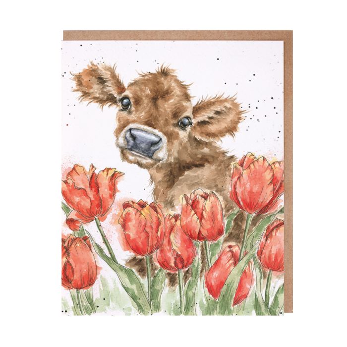 Wrendale ‘Bessie’ Note Card Pack x8