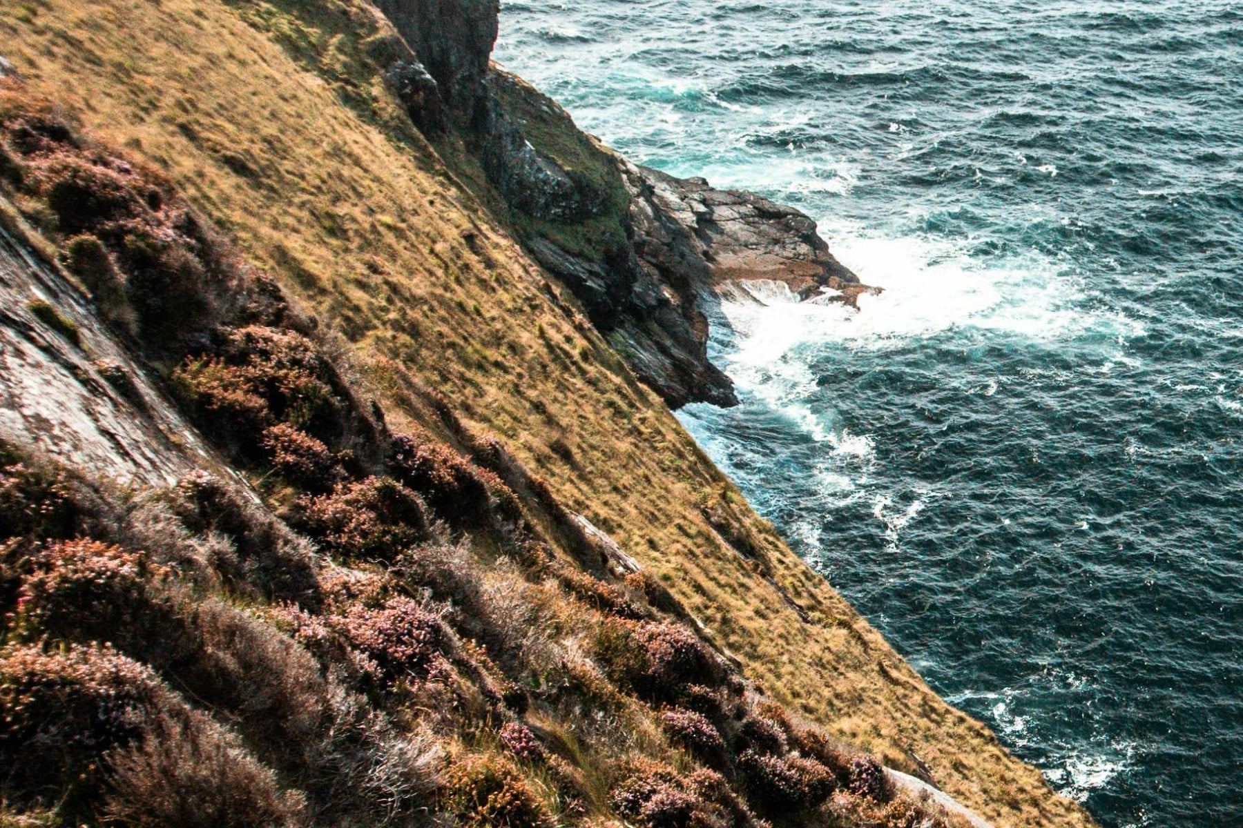 FieldDay Classic Sea Freshener