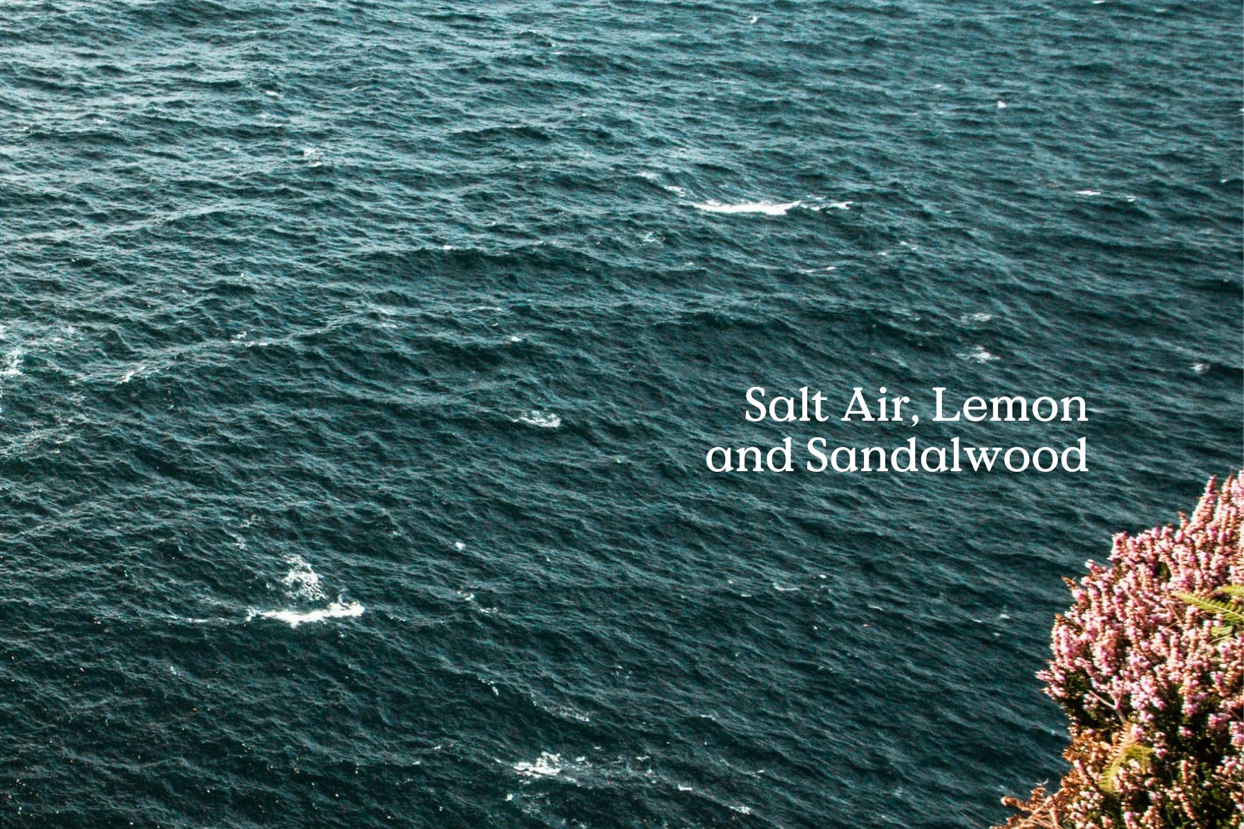 FieldDay Classic Sea Freshener