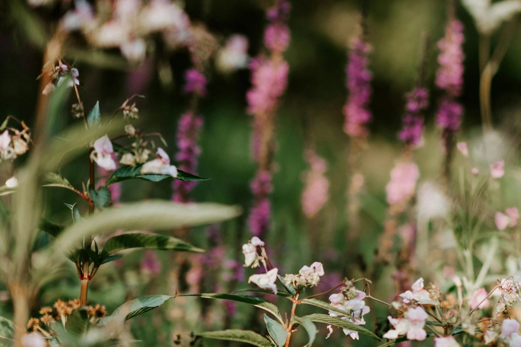 FieldDay Classic Garden Stoneware Candle