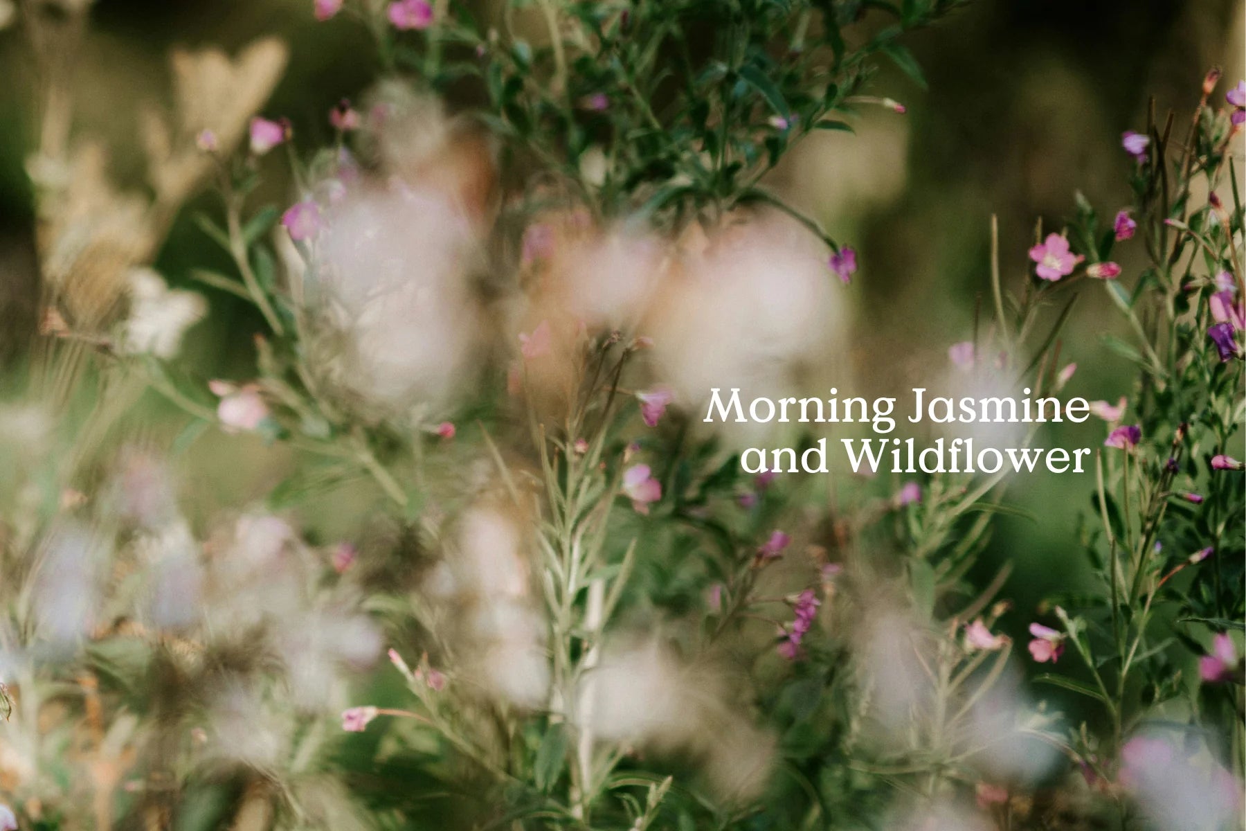 FieldDay Classic Garden Stoneware Candle