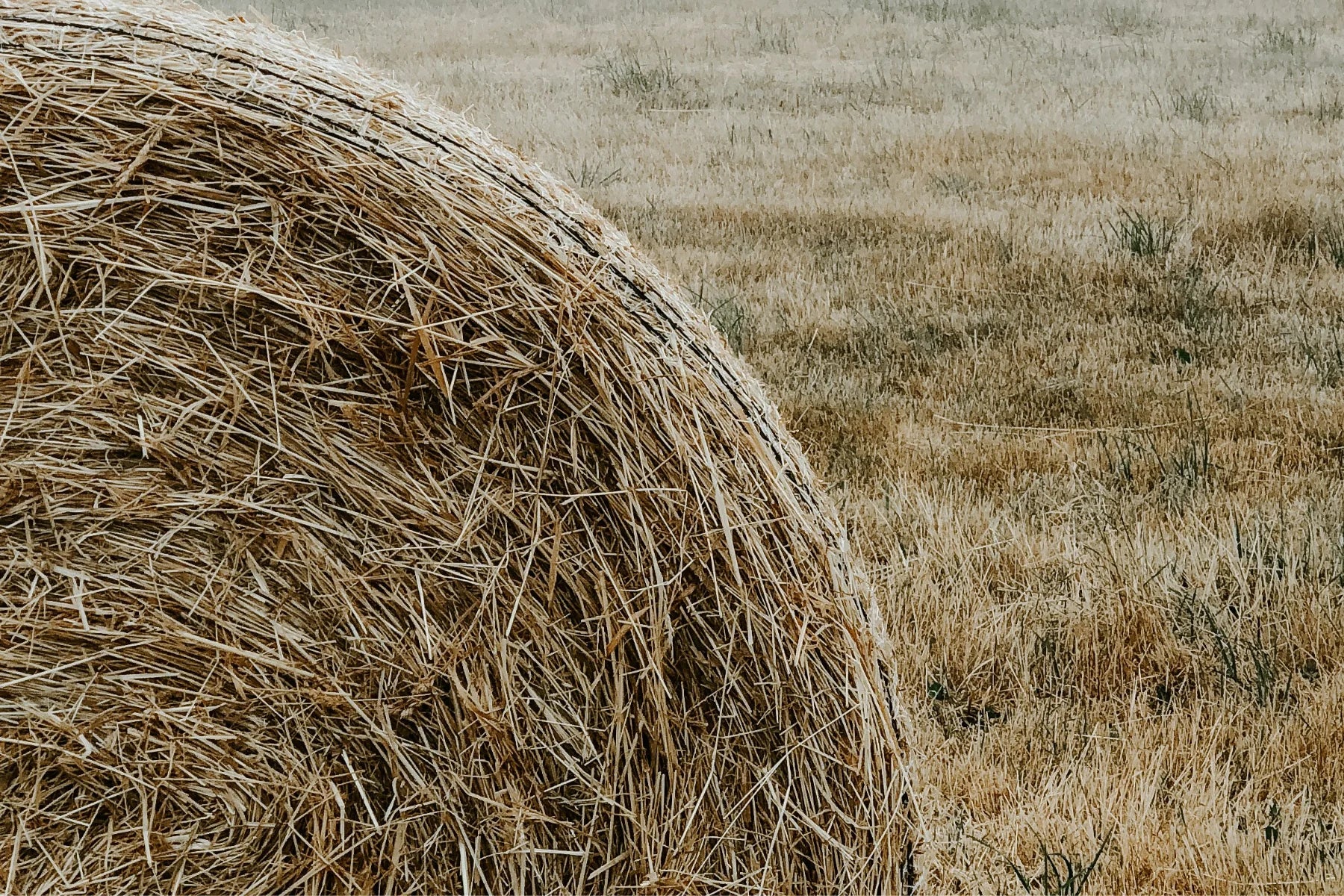 FieldDay Classic Hay Diffuser
