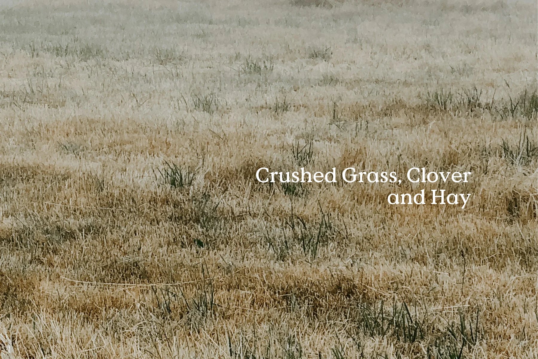 FieldDay Classic Hay Diffuser