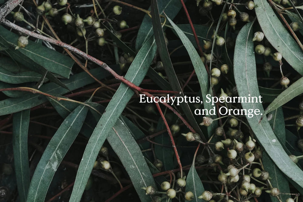 FieldDay Classic All is Calm Freshener