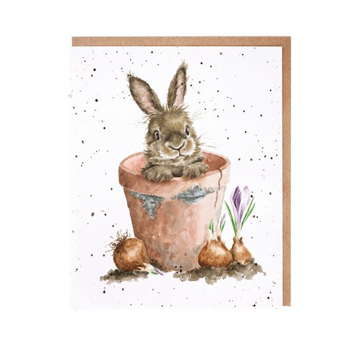 Wrendale ‘The Flower Pot’ Card 8 Pack