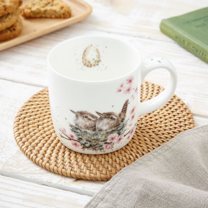 Wrendale ‘Feather Your Nest Fine’ Mug