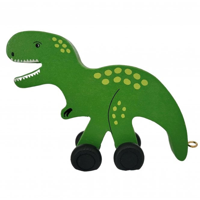 Ryantown Toys Coloured T-Rex Front