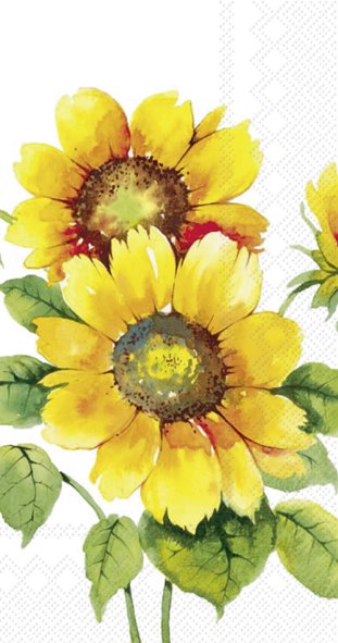 IHR Napkins Colourful Sunflowers