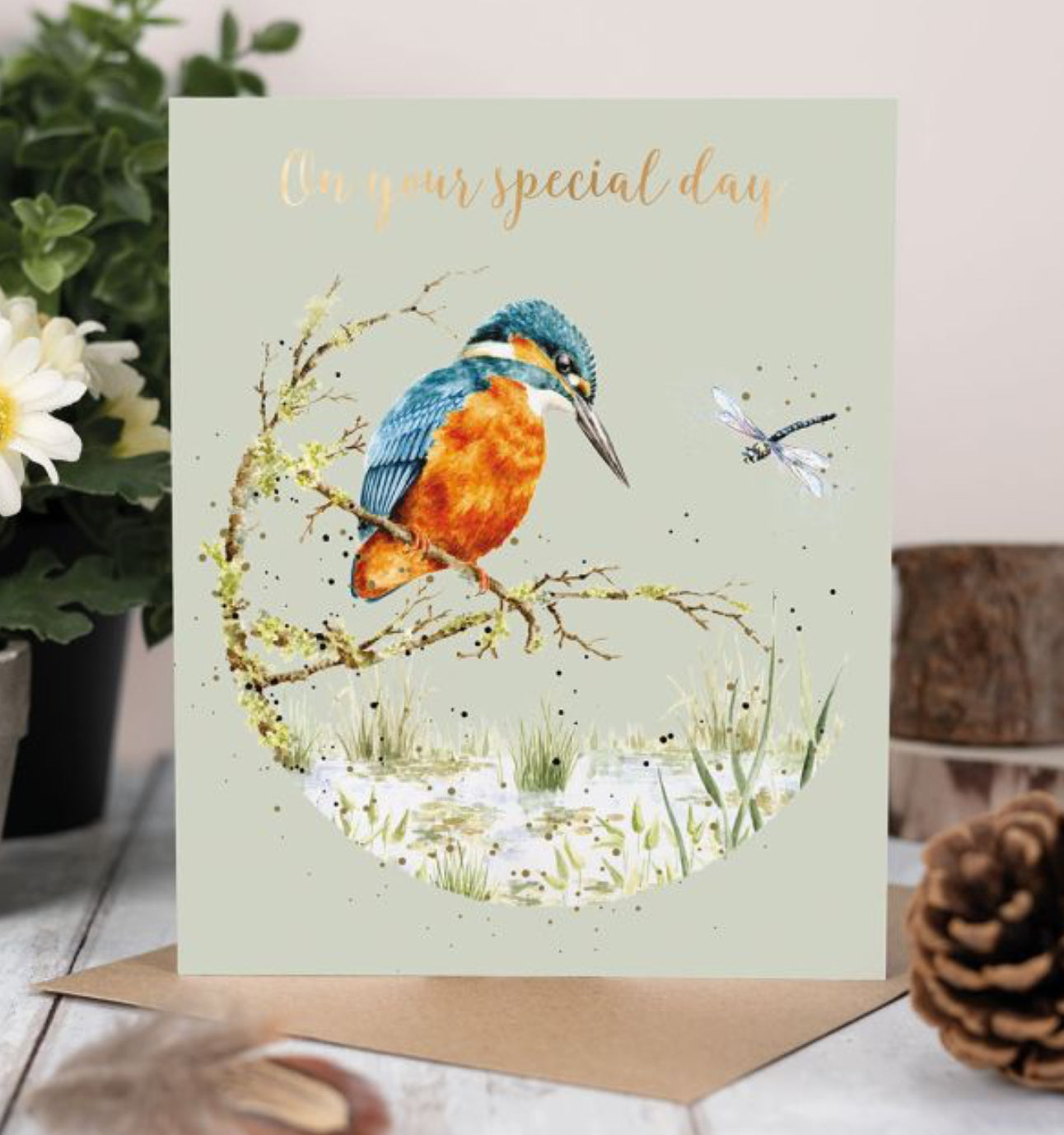 'POND DIPPING' KINGFISHER BIRTHDAY CARD