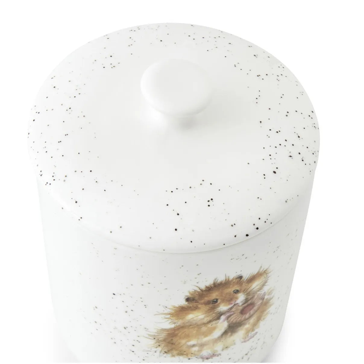 Wrendale ‘Diet Starts Tomorrow’ Biscuit Barrel