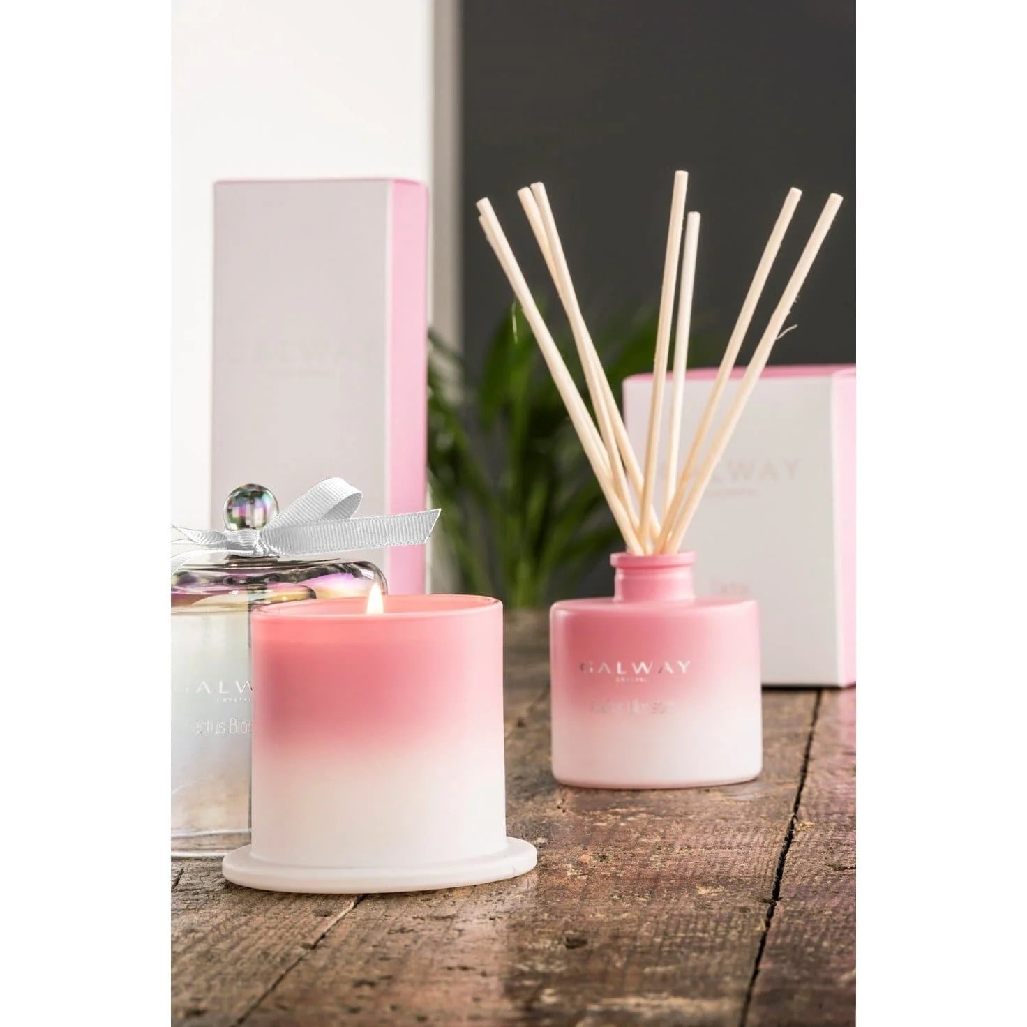 Galway Cactus Blossom Candle