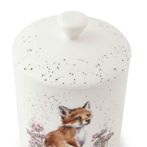 Wrendale 'Make My Daisy' Fox Medium Lidded Storage Jar