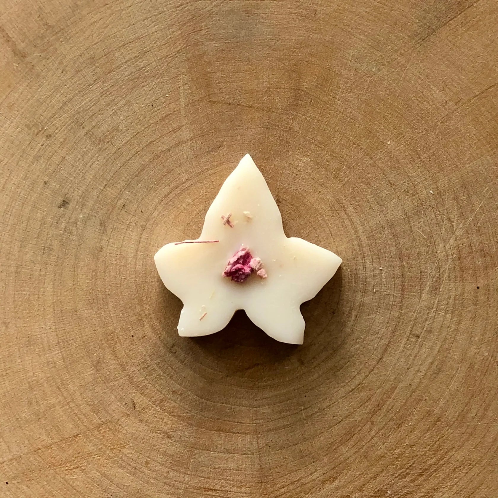 Ivy & Twine Rhubarb & Plum Noir Melts