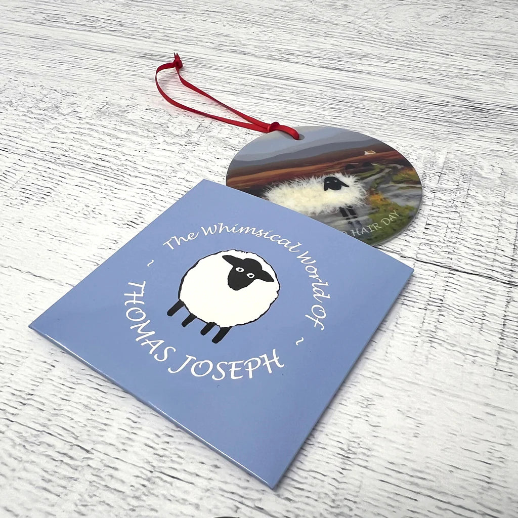 Thomas Joseph Baaad Hair Day Decorative Hanging Disk