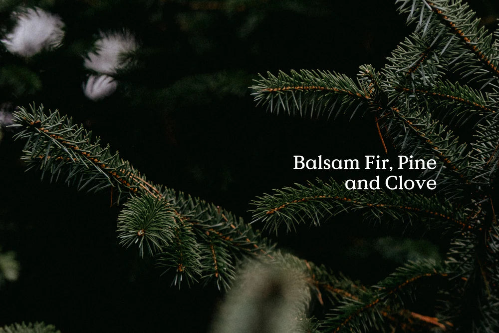 FieldDay Classic Fir Candle