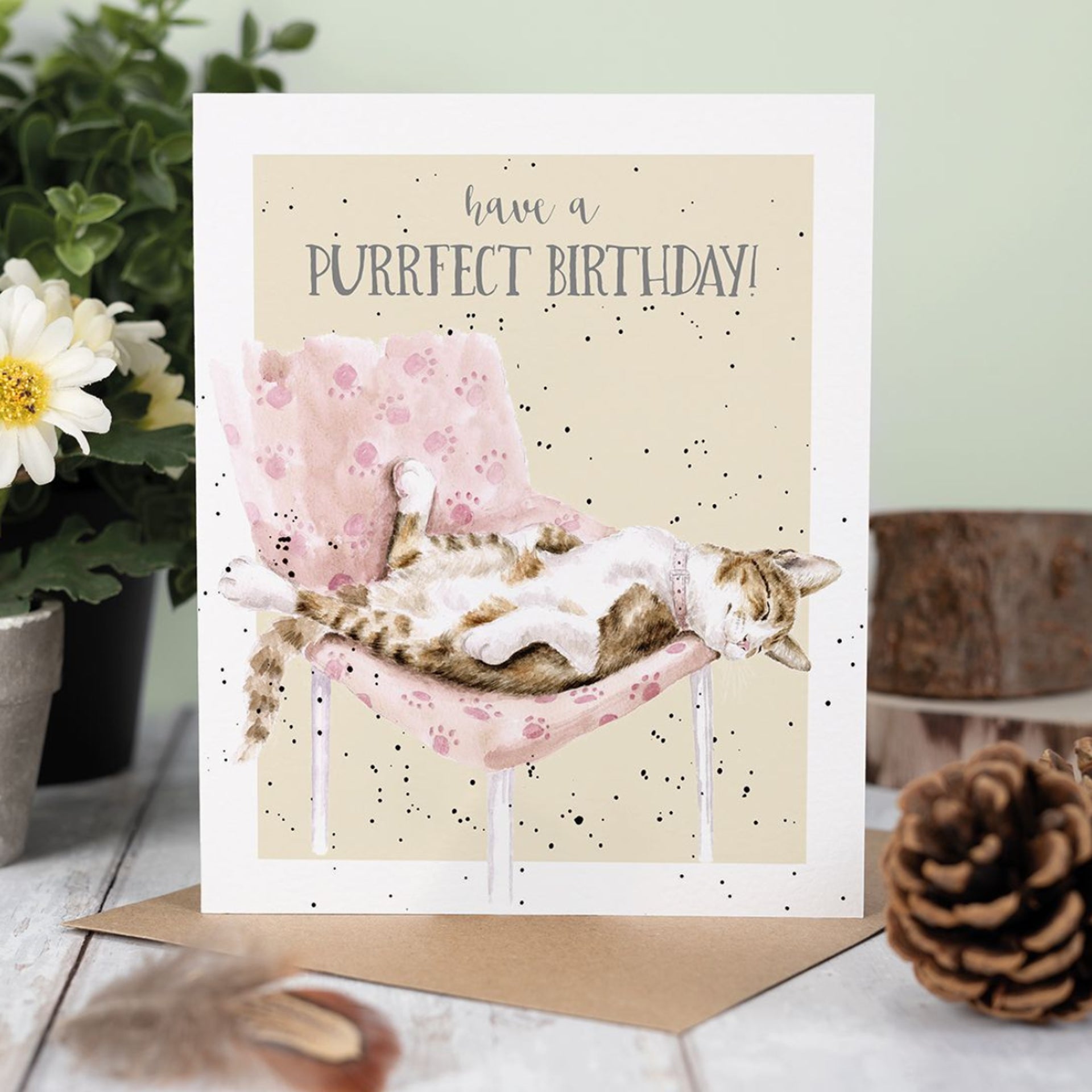 Wrendale ‘Tabby Birthday’ Card