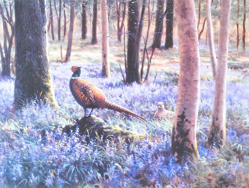 Julian Friers Pheasant Bluebells Mug