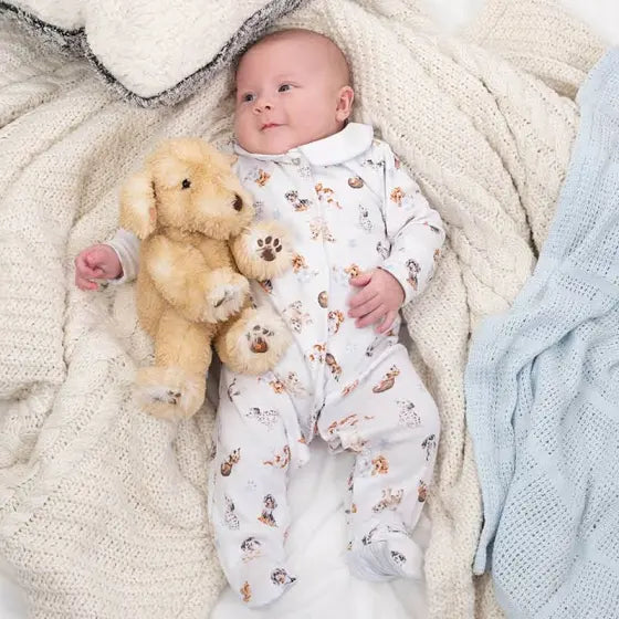 Wrendale ‘Little Wren’ Boys Little Paws Babygrow 6-9 Months