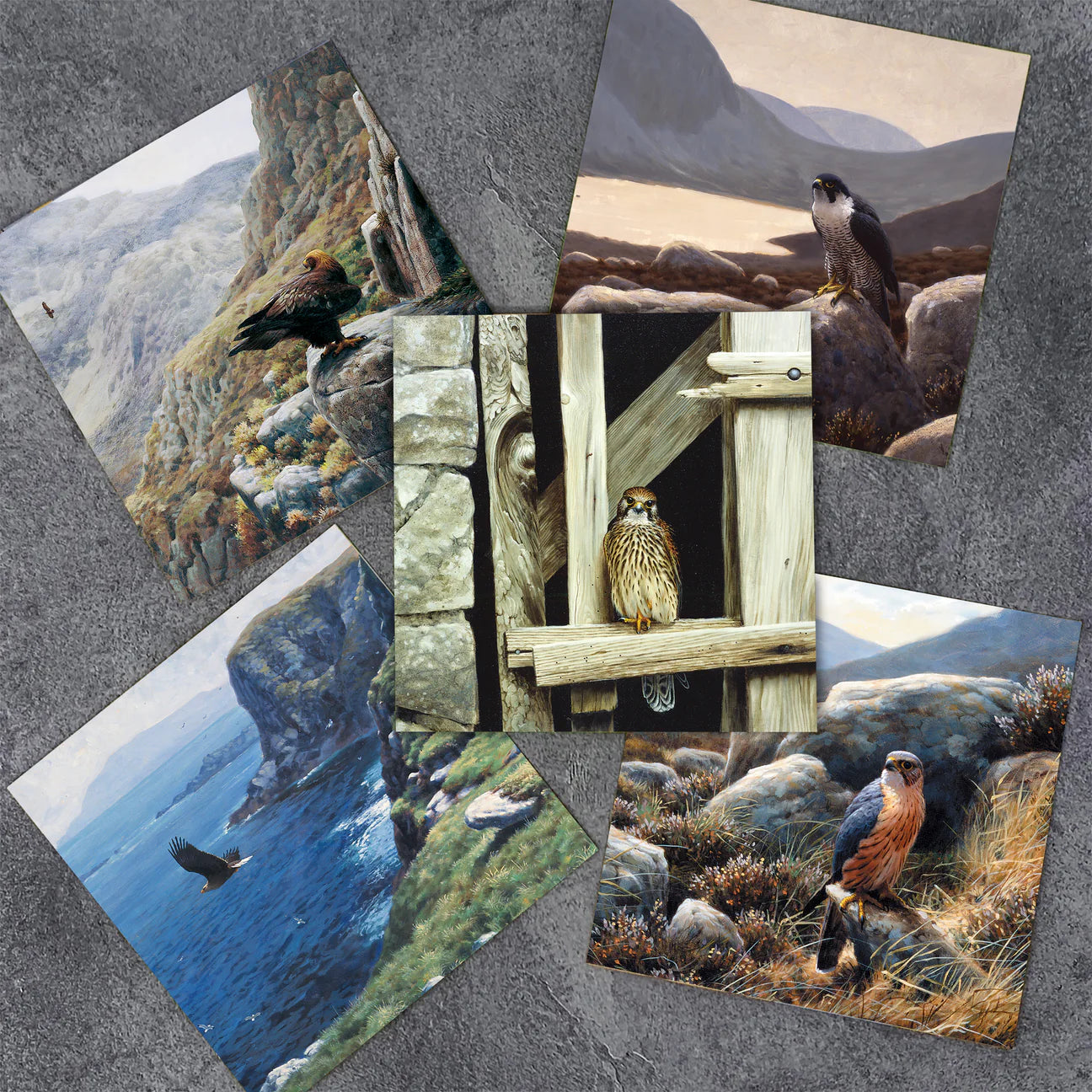 Julian Friers Birds of Prey Card Pack