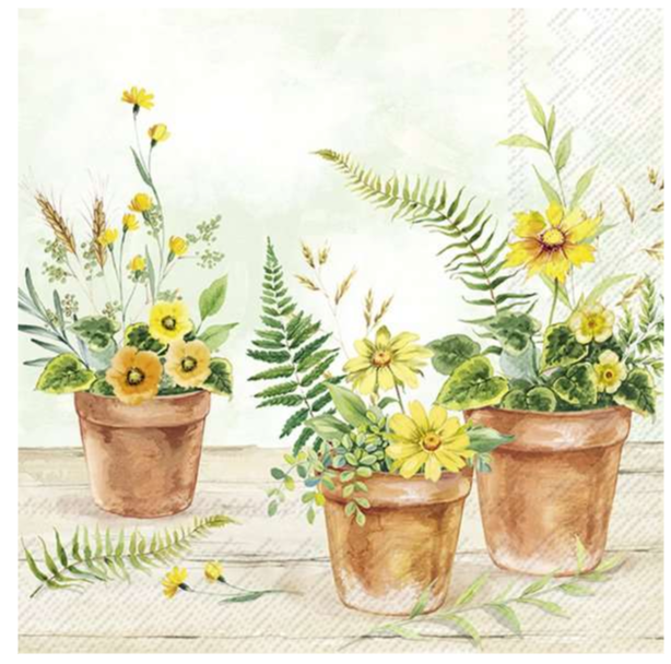 IHR Cocktail Napkins Plant in Pots