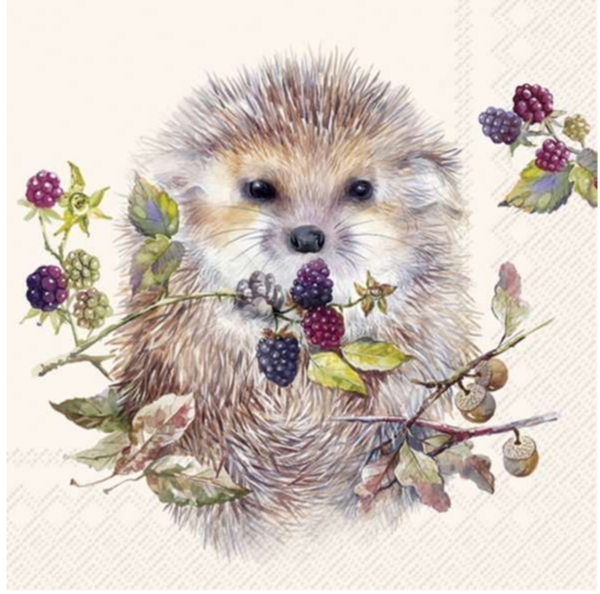 IHR Napkins Hedgehog